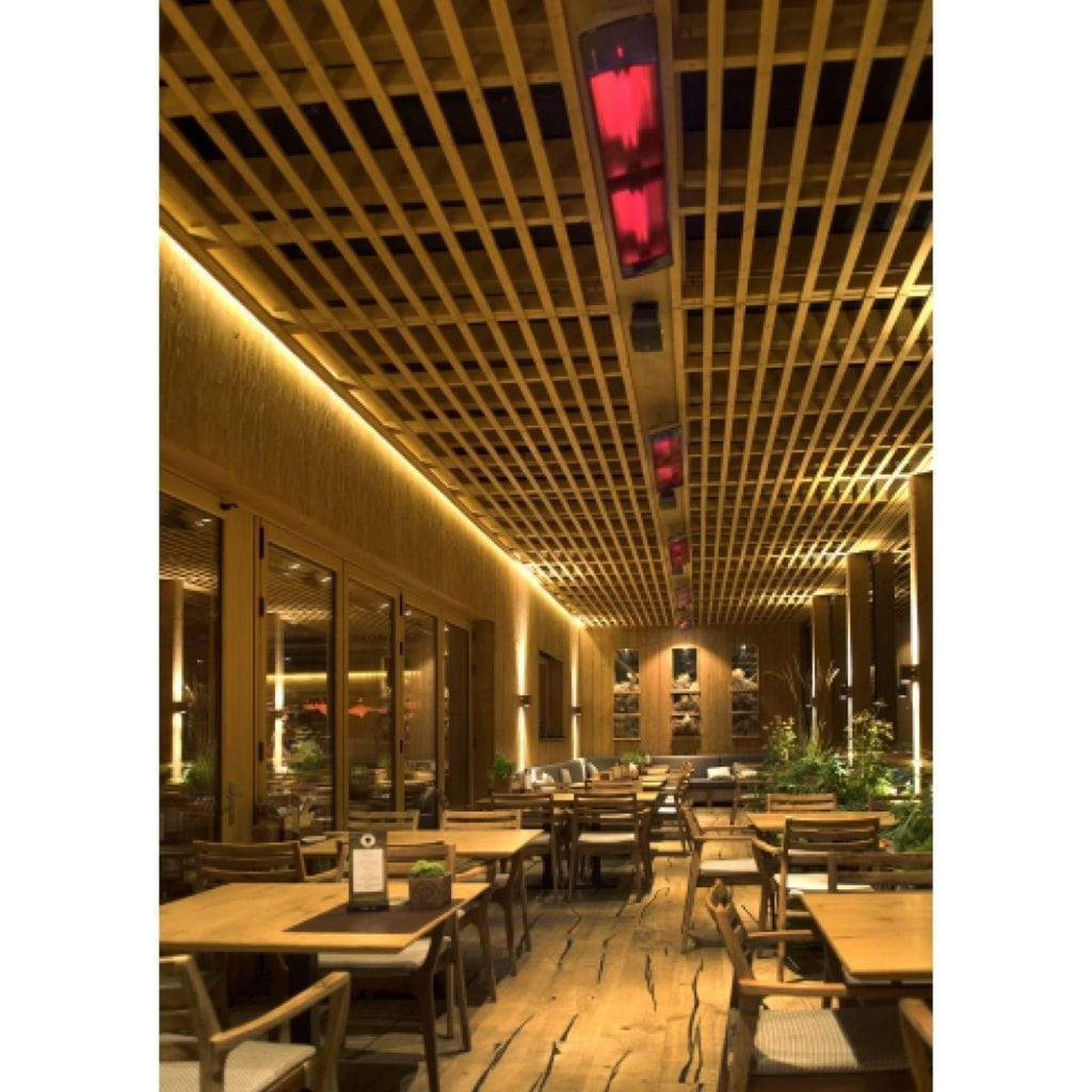 Heatscope Heaters 65" Vision 3200W Electric Carbon Radiant Heater by Mad Design Group