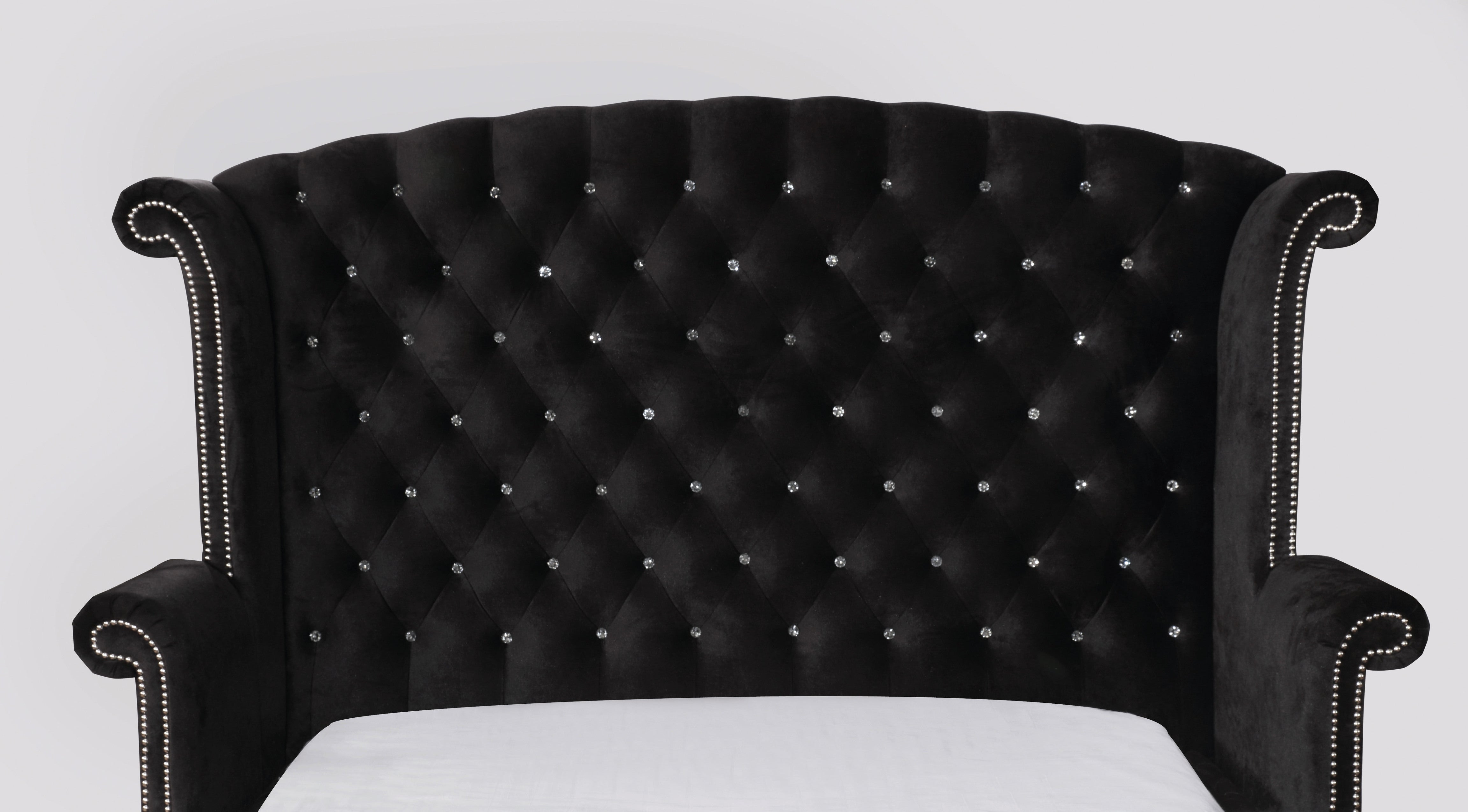 Clerita Transitional Wingback Tufted Queen Bed in Black