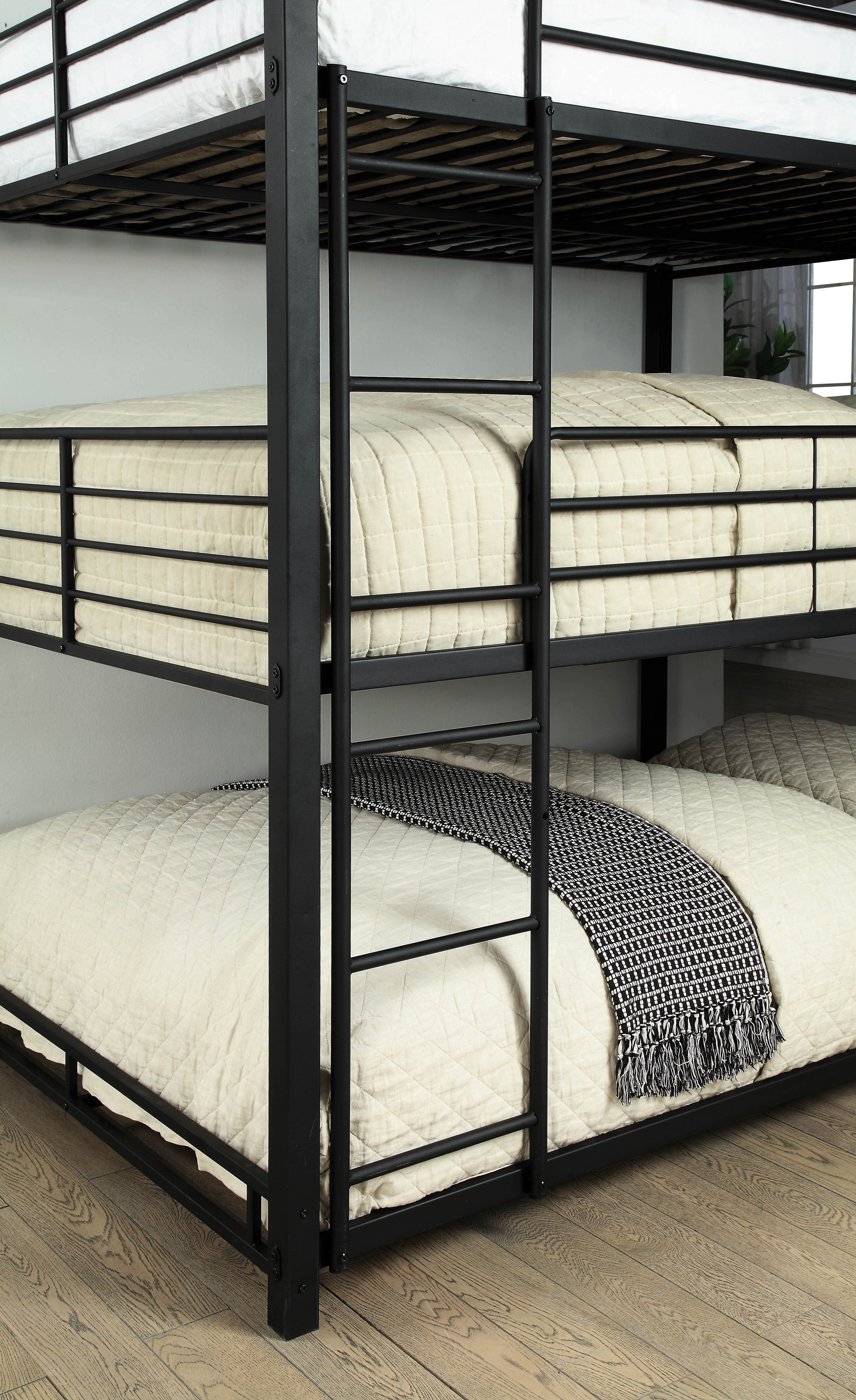 Dazza Contemporary Bunk Bed in Twin Triple