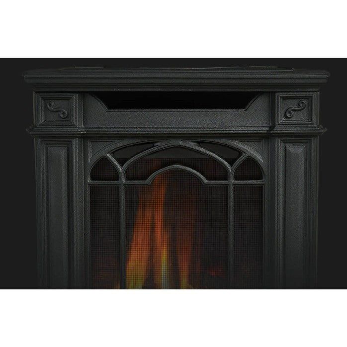 Napoleon 19 Inch Arlington Cast Iron Freestanding Direct Vent Gas Stove
