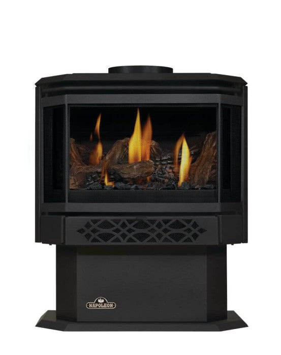 Napoleon 23 Inch Haliburton Freestanding Direct Vent Gas Stove