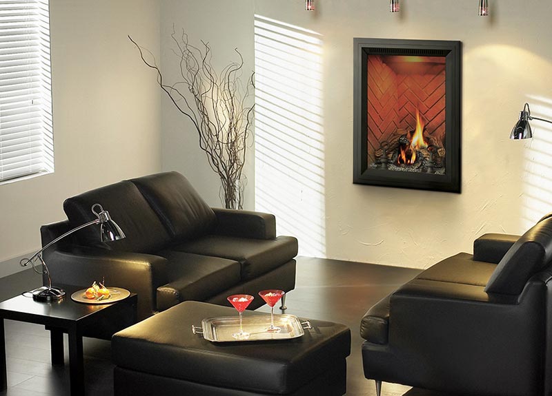 Napoleon 28 Inch Park Avenue Direct Vent Gas Fireplace