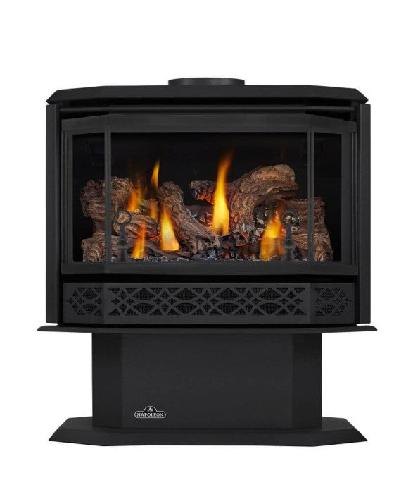Napoleon 28 Inch Havelock Freestanding Direct Vent Gas Stove