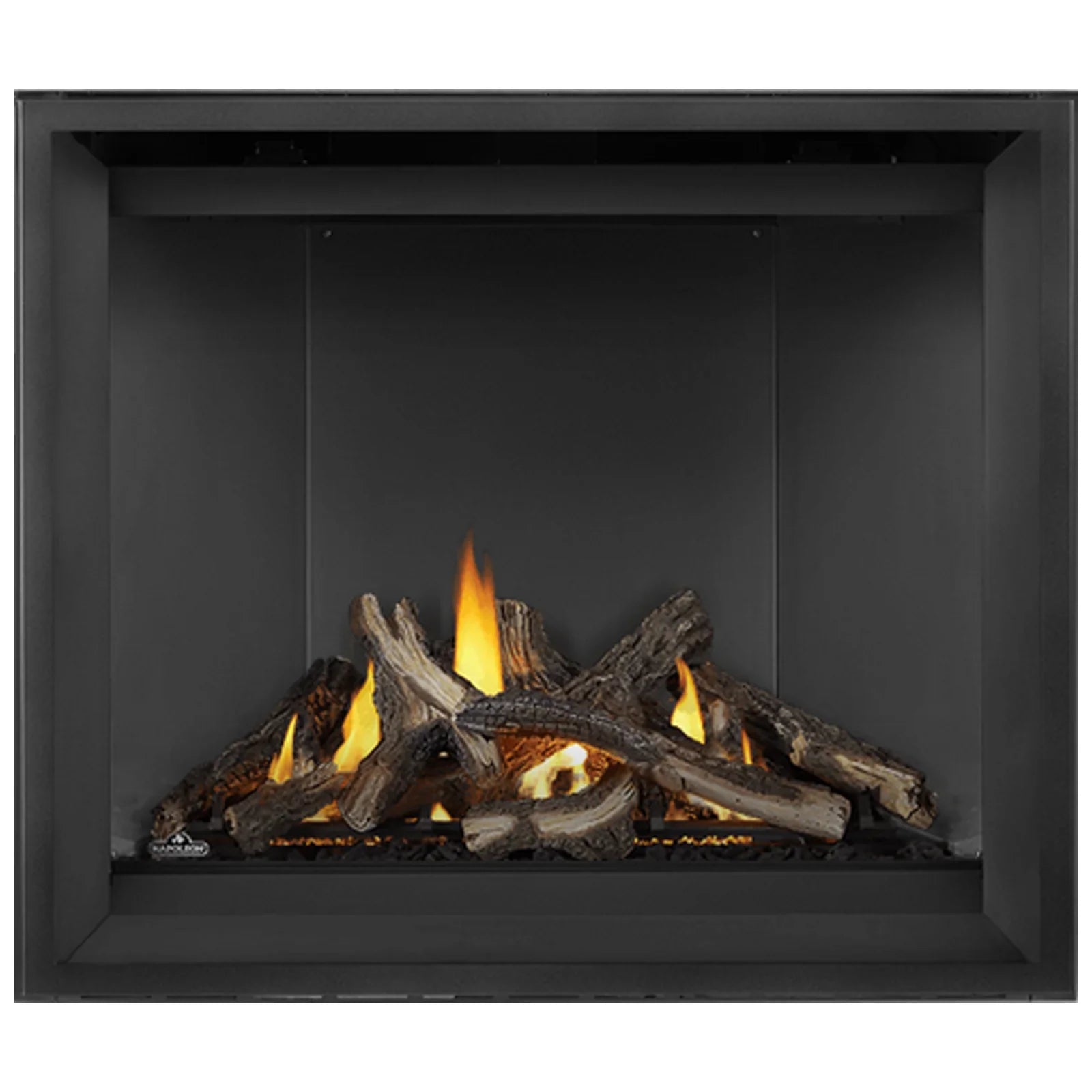 Napoleon 45 Inch Elevation X 42 Modern Indoor Direct Vent Gas Fireplace