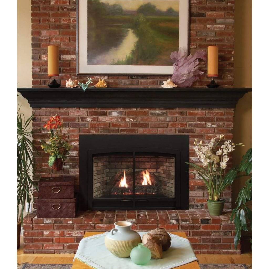 Empire Innsbrook 40-inch Smallest Traditional Direct Vent Fireplace Insert - Millivolt Control