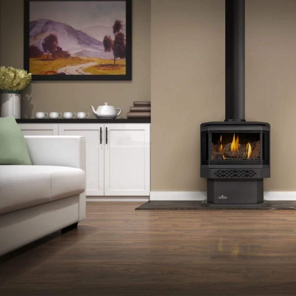Napoleon 23 Inch Haliburton Freestanding Direct Vent Gas Stove
