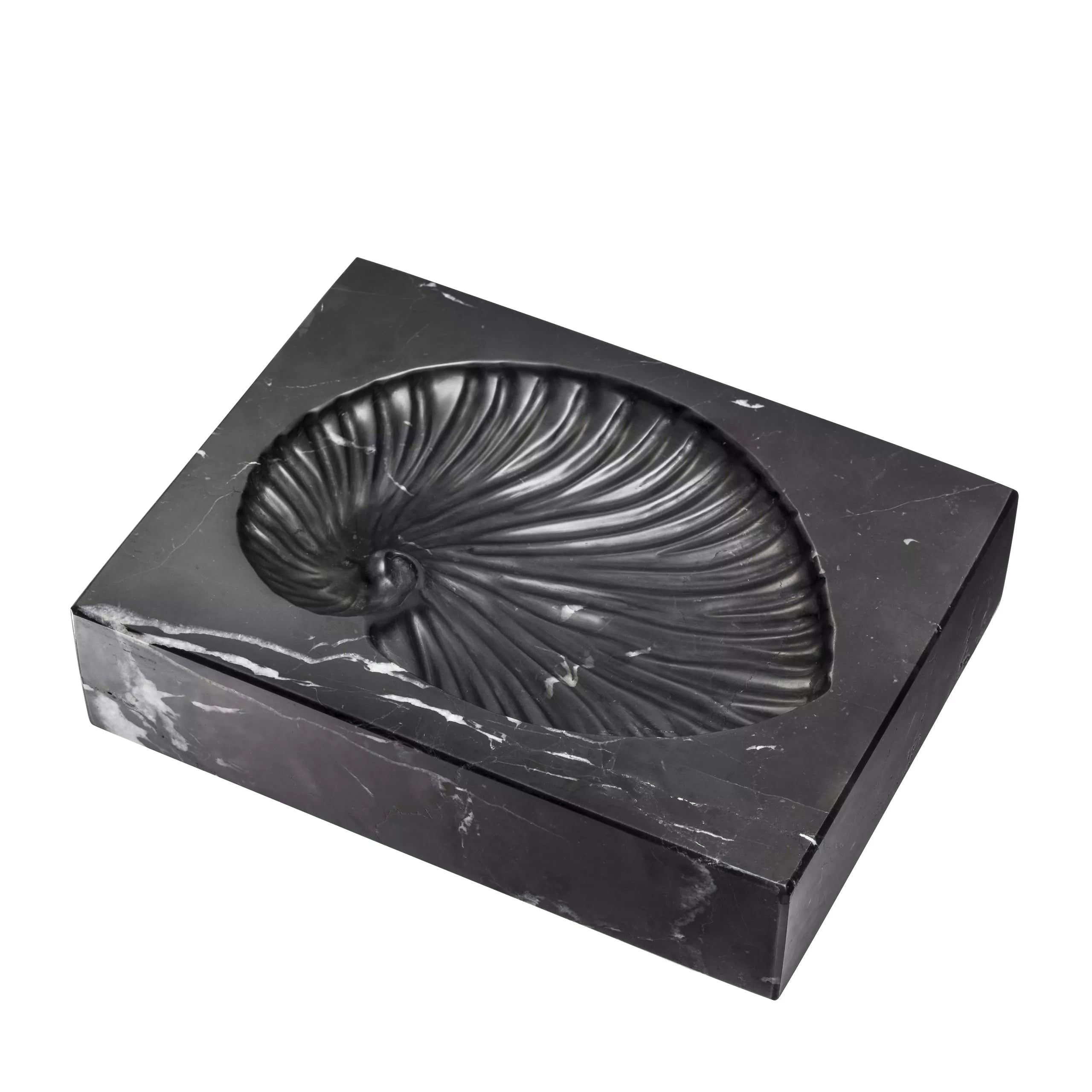 Black Marble Shell Fossil | Eichholtz Conchiglia