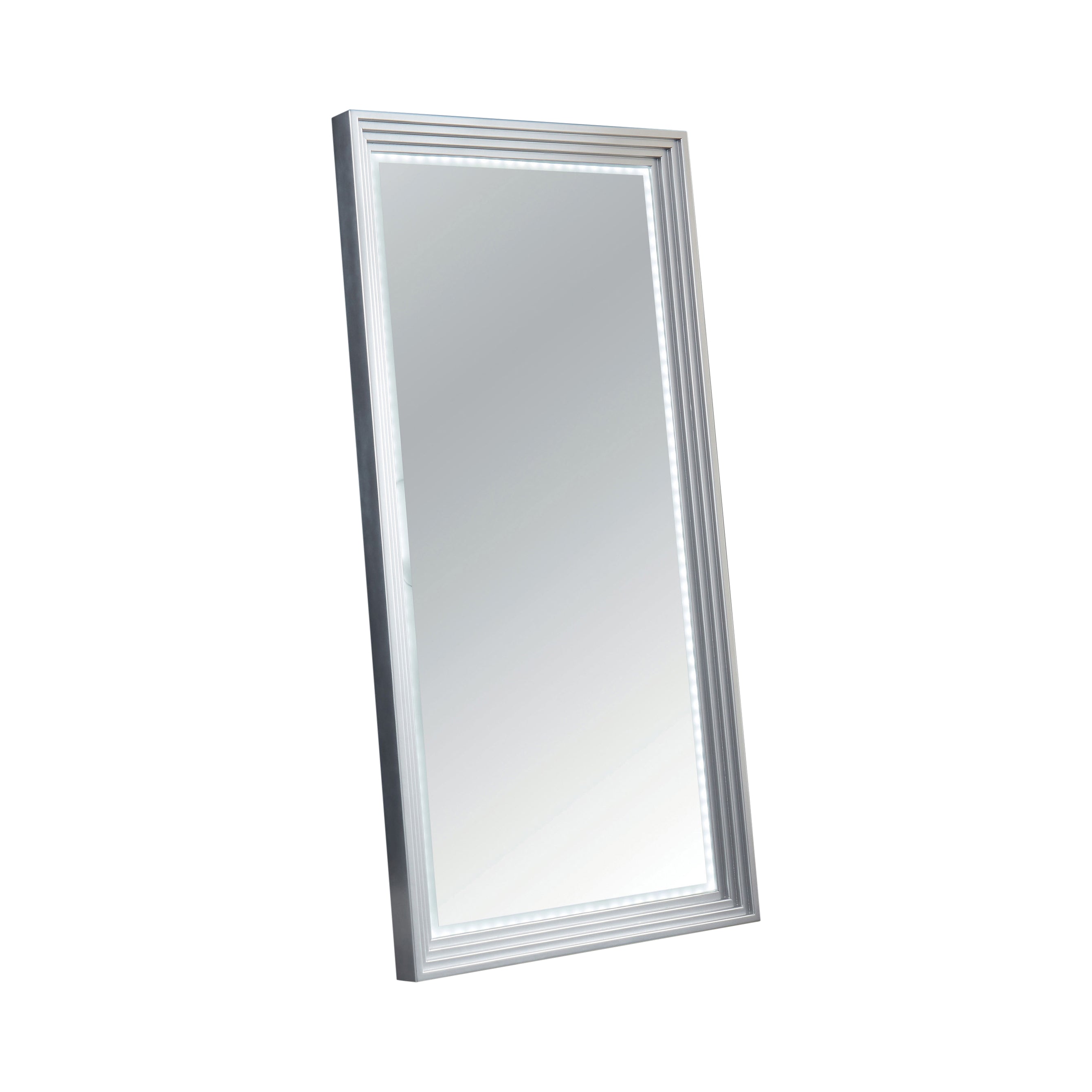 Elliah Contemporary Standing Hallway Mirror