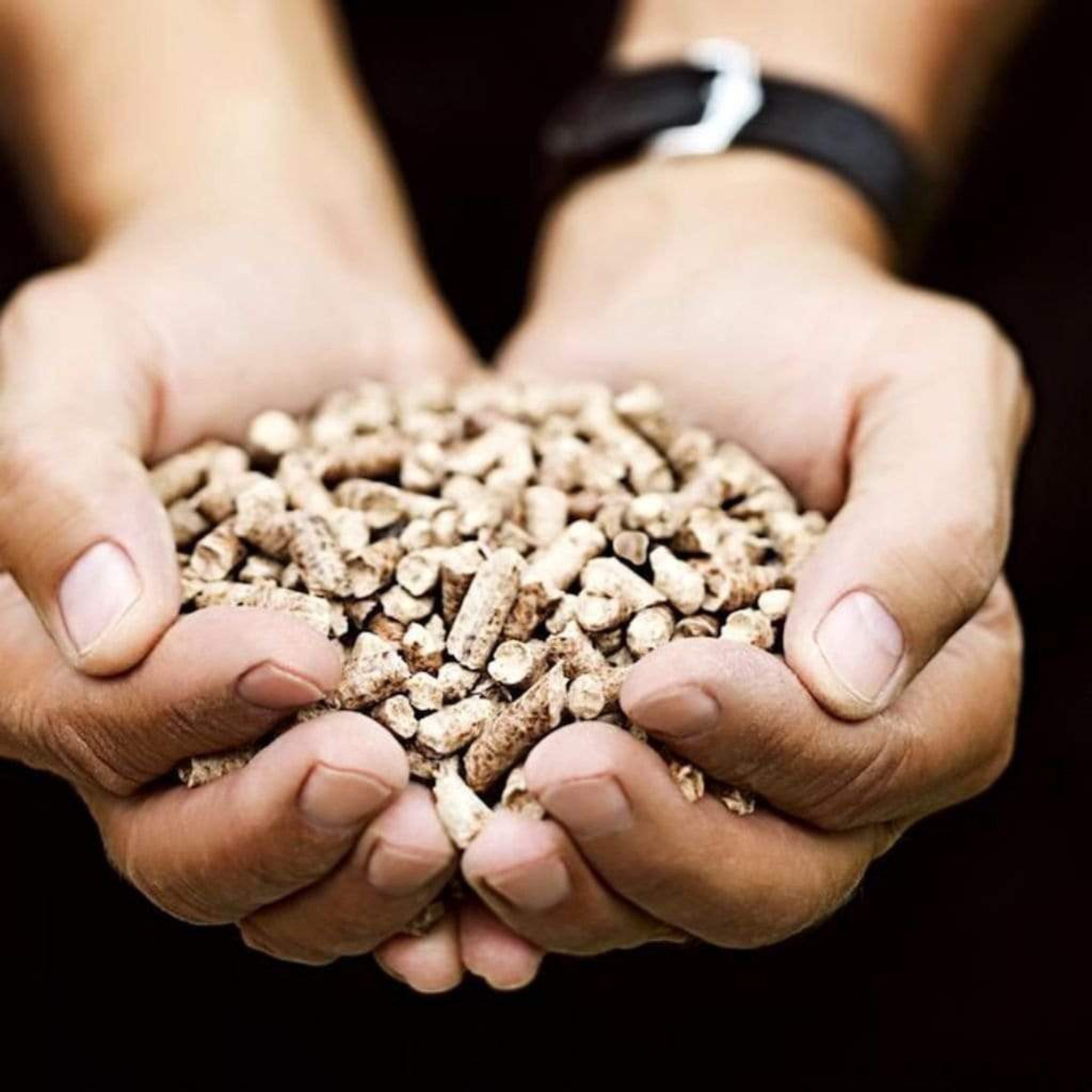 Memphis 60 Lb. Pecan All-Natural Wood Pellets - Mild & Light Smoky Flavor