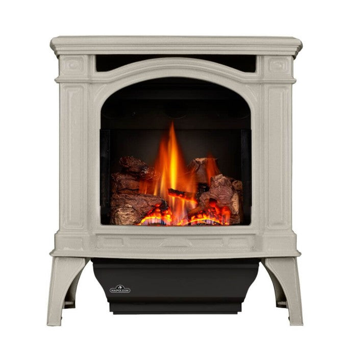 Napoleon 24 Inch Bayfield Cast Iron Freestanding Direct Vent Gas Stove