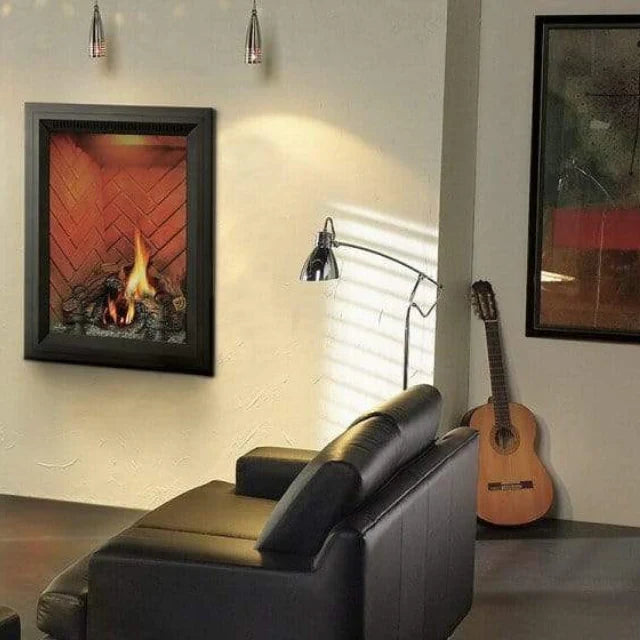 Napoleon 28 Inch Park Avenue Direct Vent Gas Fireplace