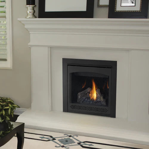 Napoleon Direct Vent 30 Inch Ascent B30 Zero Clearance Gas Fireplace