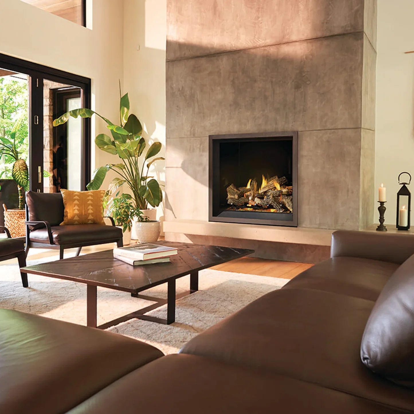 Napoleon 45 Inch Elevation X 42 Modern Indoor Direct Vent Gas Fireplace