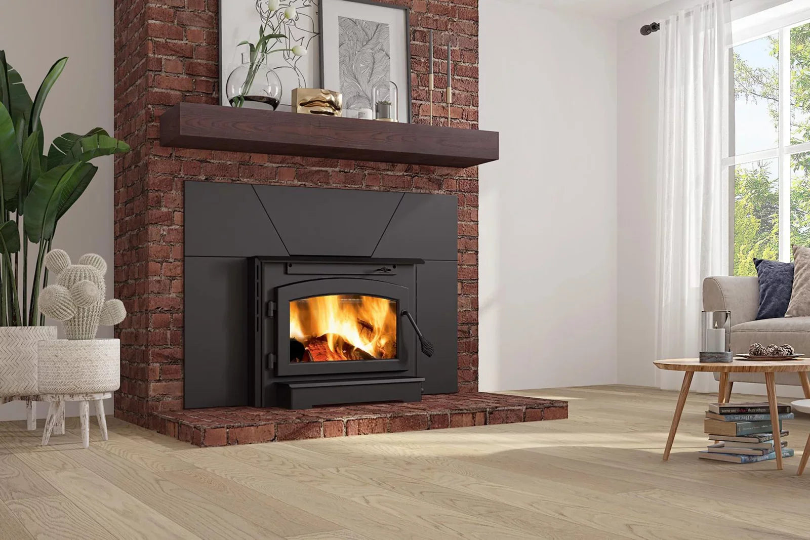 Napoleon EPI22 Wood Burning Insert