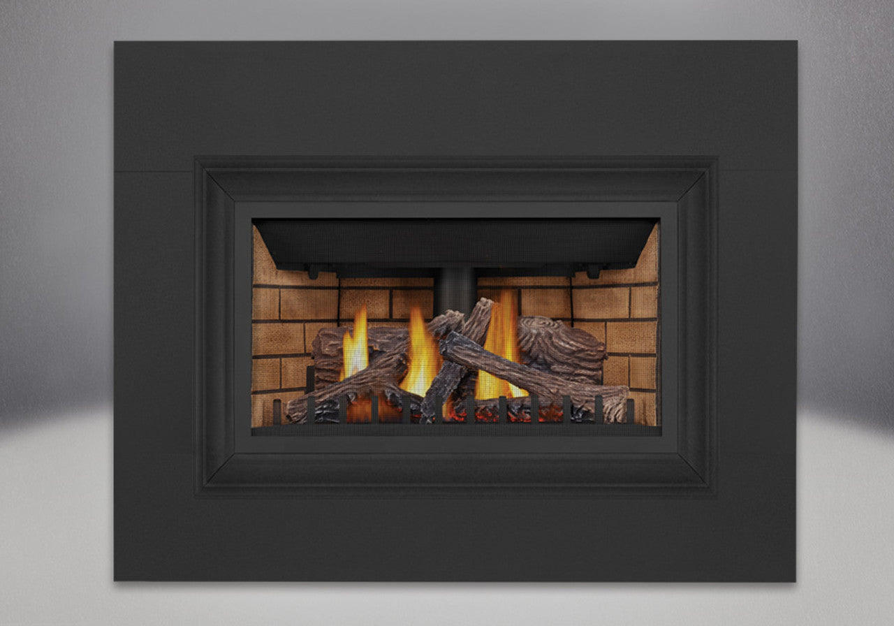 Napoleon Inspiration Traditional Style Zero Clearance Direct Vent Gas Fireplace