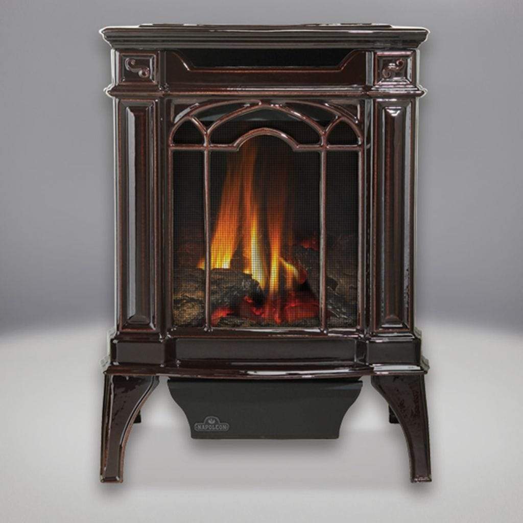 Napoleon 19 Inch Arlington Cast Iron Freestanding Direct Vent Gas Stove