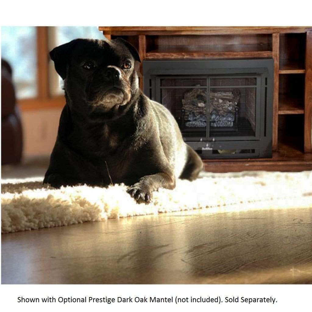 Buck Stove Model 34 Manhattan Vent Free Gas Stove with Blower