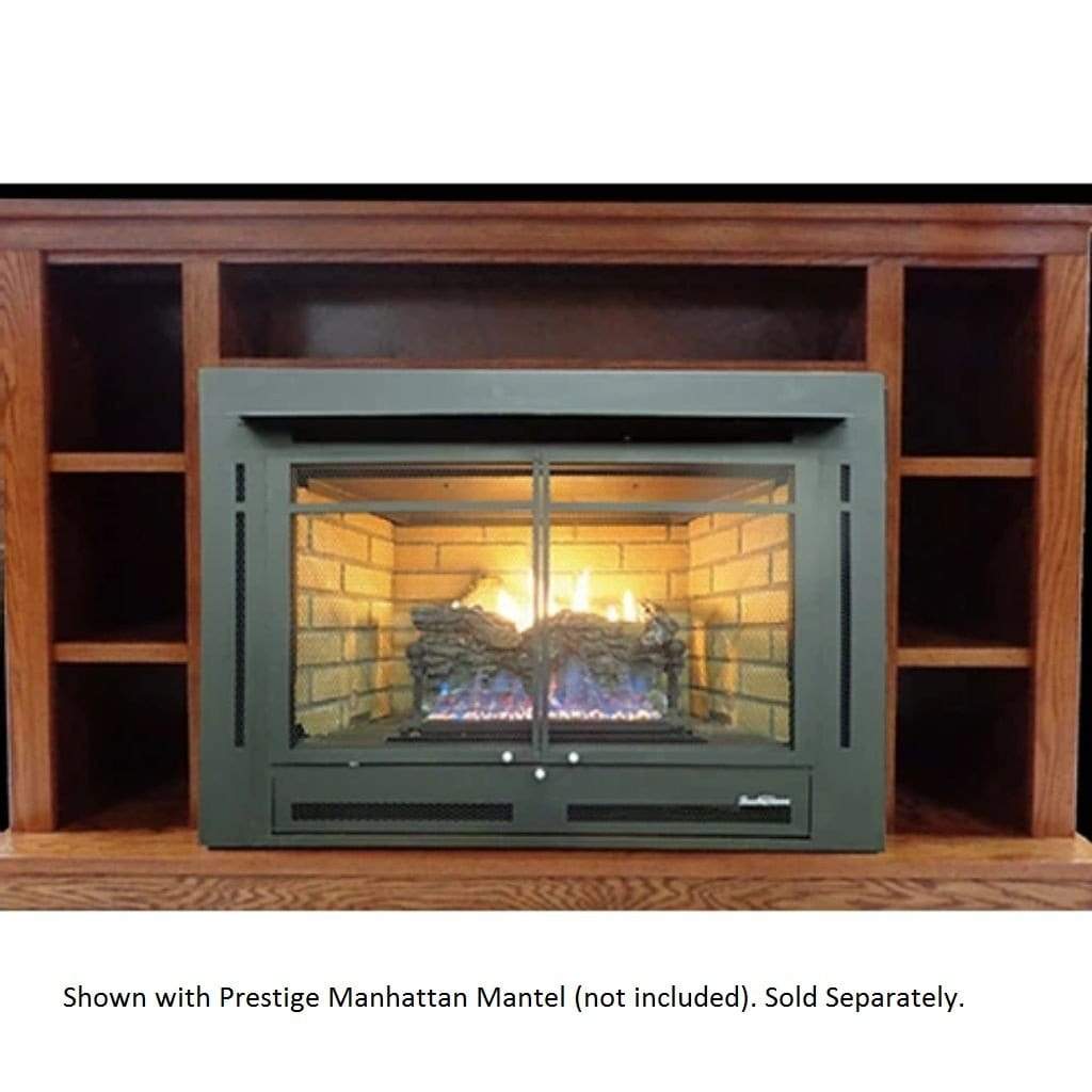 Buck Stove Model 34 Manhattan Vent Free Gas Stove with Blower