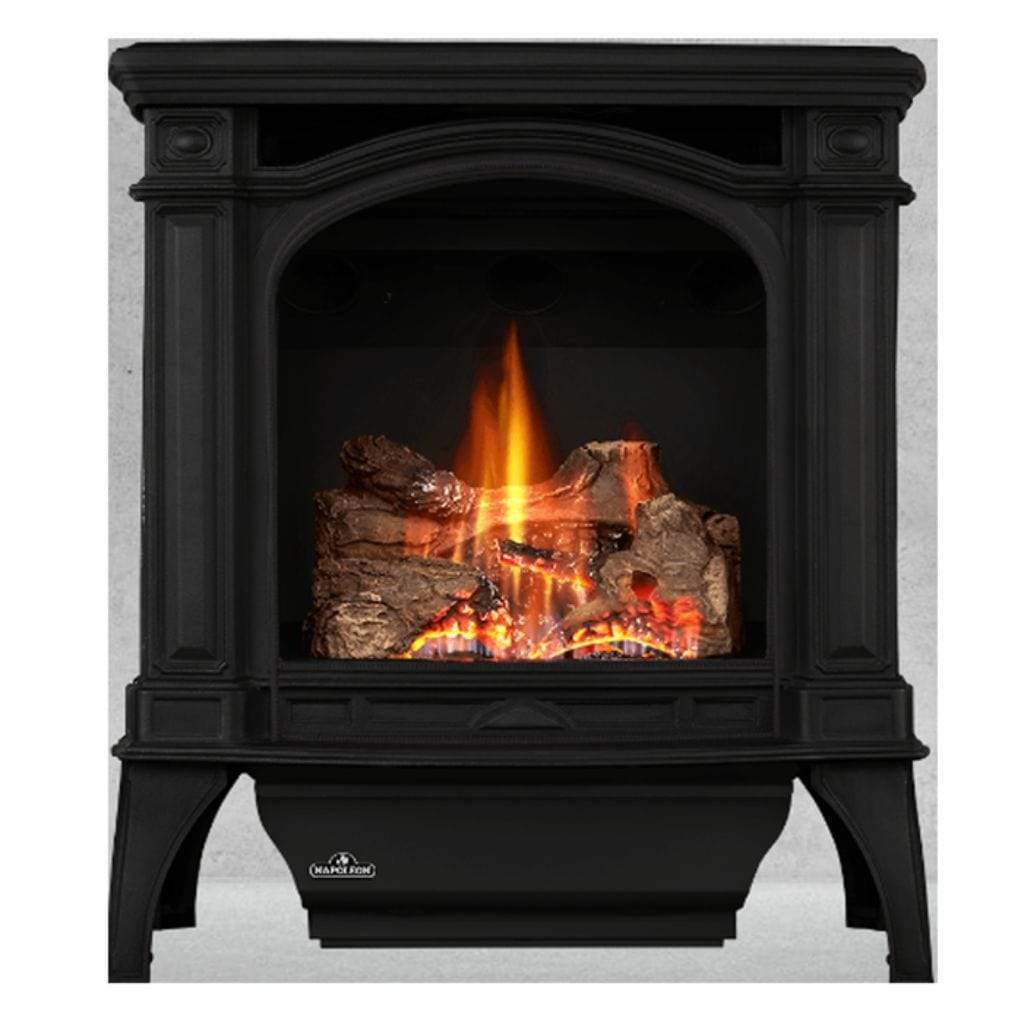 Napoleon 24 Inch Bayfield Cast Iron Freestanding Direct Vent Gas Stove
