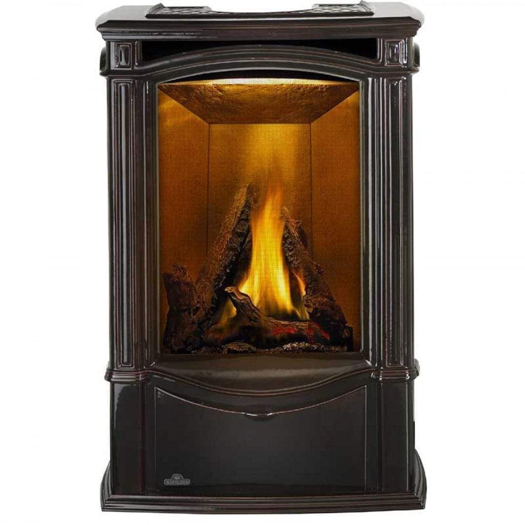 Napoleon 24 Inch Castlemore Cast Iron Direct Vent Electric Ignition Gas Stove
