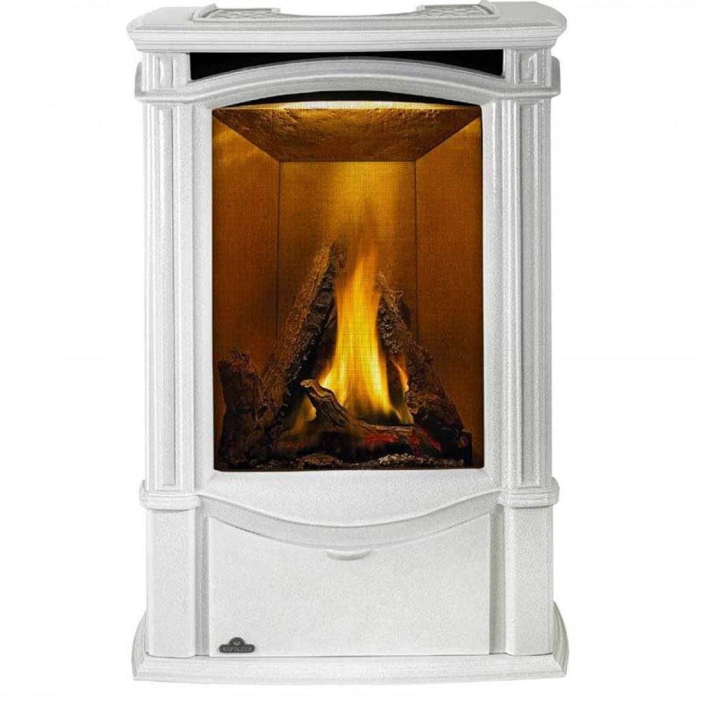 Napoleon 24 Inch Castlemore Cast Iron Direct Vent Electric Ignition Gas Stove